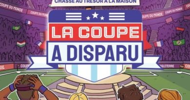 La Coupe du monde a disparu