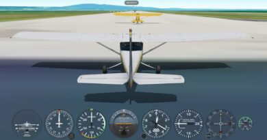 Beta Geo FS